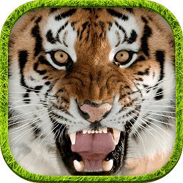 终极葡京新线路检测模拟器官方版下载-终极模拟葡京新线路检测游戏手机版下载 v1.5 安卓版