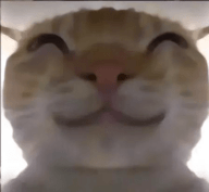 新葡萄娱乐场app下载偷吃模拟器开容器模拟器下载-新葡萄娱乐场app下载偷吃模拟器开容器模拟器手游官方下载v1.0.6