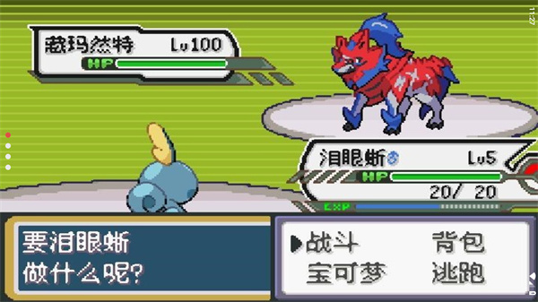 新濠天地在线入口剑盾10.2汉化版下载-新濠天地在线入口剑盾10.2(附金手指)手机版下载游戏画面1