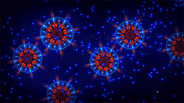 9998vnsr威尼斯人手机版 9998vnsr威尼斯人